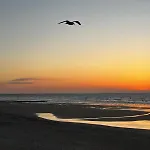 Les Mimosas -joli Confort * Cabourg