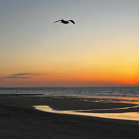 Les Mimosas -joli Confort * 꺄부흐