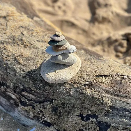 Les Mimosas -joli Confort 아파트 꺄부흐