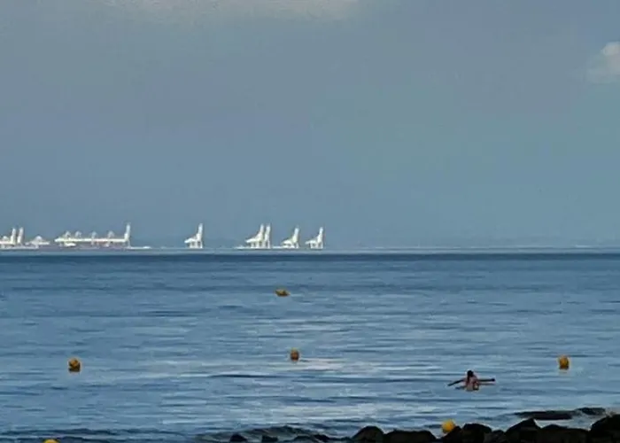 Les Mimosas -joli Confort דירה