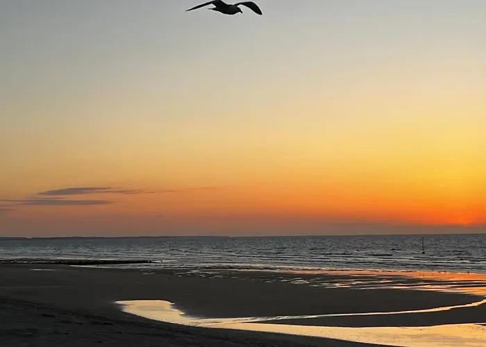 Les Mimosas -joli Confort * קאבורג