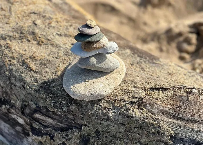 Les Mimosas -joli Confort דירה קאבורג